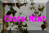 Choco Mintバナー2